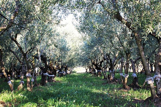 Foto di Giulia Pia del Prete