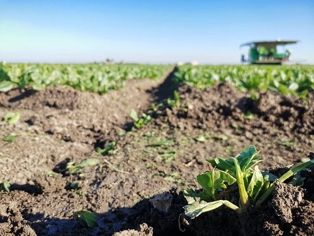 Foto di Stefano Trotta